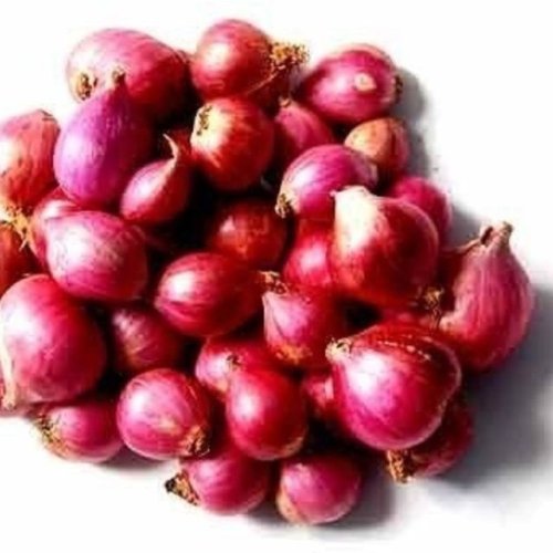 Fresh Small Red Onion