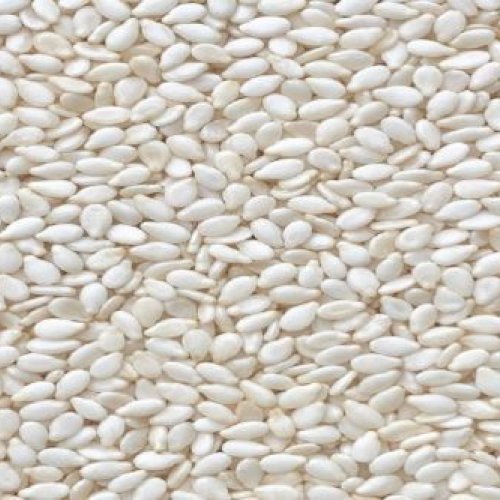 Sesame Seed