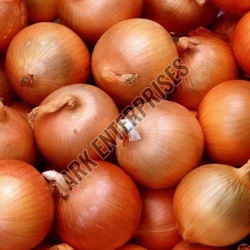 Pink Onions