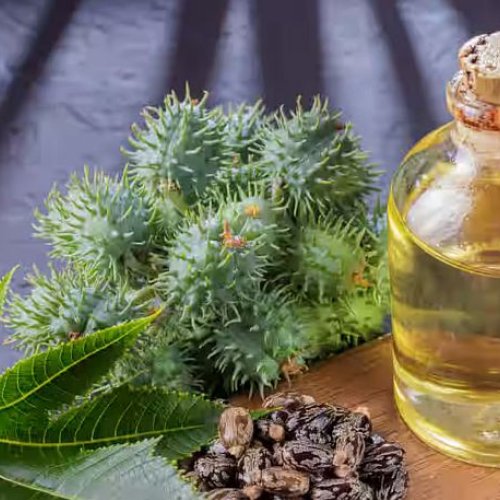 Commercial Grade Castor Oil