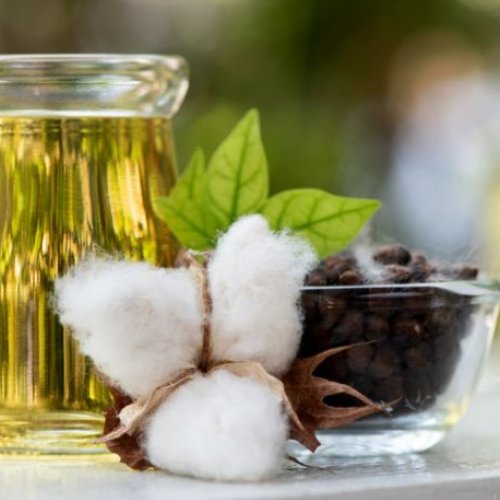 Cotton Seed Oil