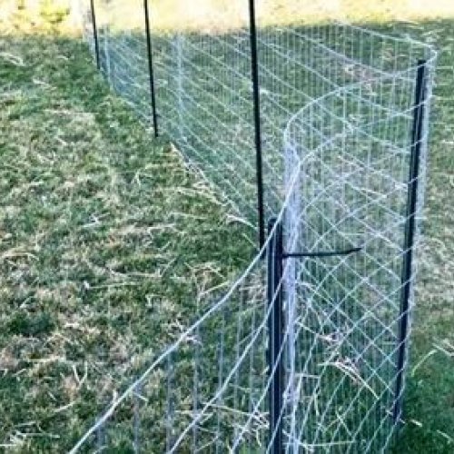 Galvanized Iron Chain Link Mesh