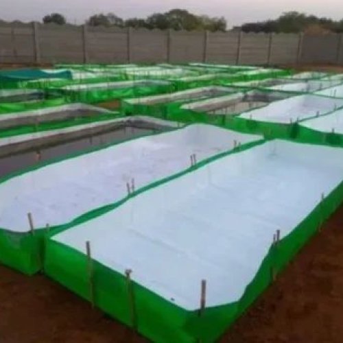 450GSM 12x4x1 Ft HDPE Azolla Cultivation Bed