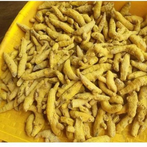 60kg Yellow Turmeric Finger