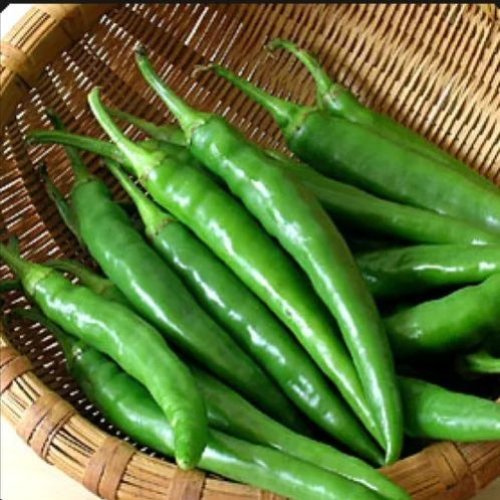 Green Chilli