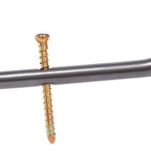 Titanium Proximal Femoral Nail II