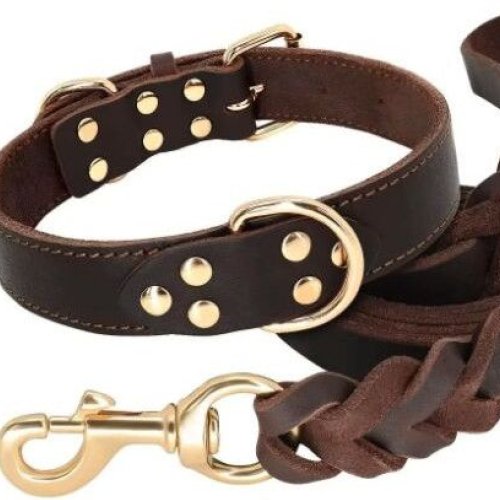 AF Leather Dog Collars
