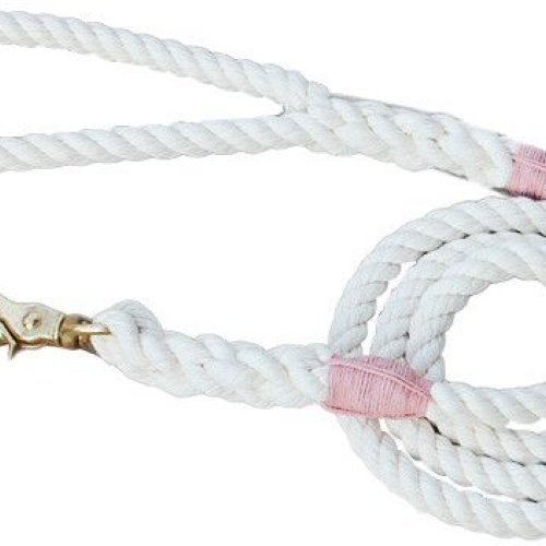 DCL-111 Cotton Rope Dog Leash