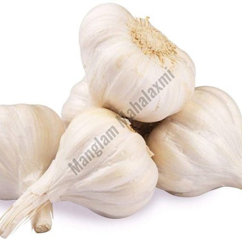 Fresh Garlic