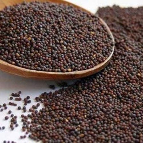 Small Mustard Seed