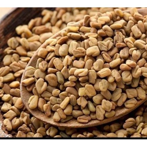 Regular Sortex Fenugreek