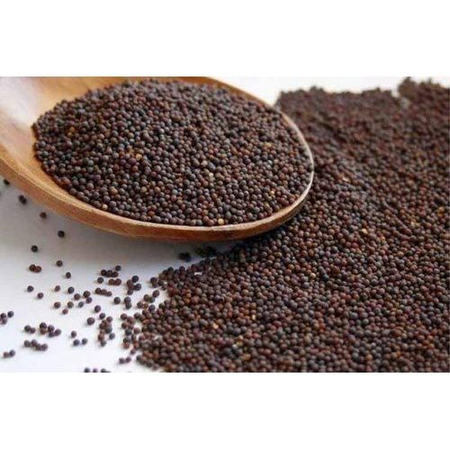 Small Black Mustard Seeds
