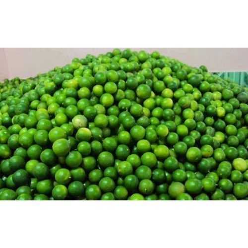 Fresh Green Lemon