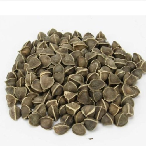 Moringa Seeds