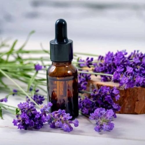 Lavender Oil