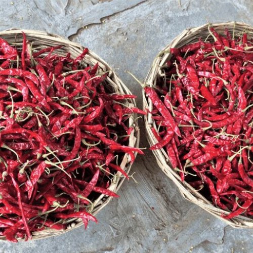 Dry Red Chilli