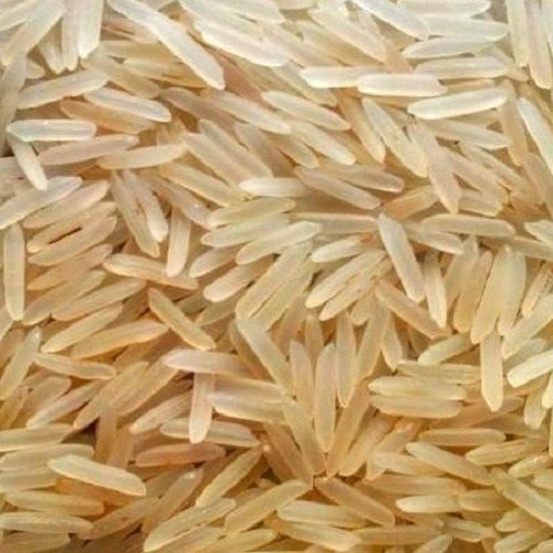 1509 Golden Sella Rice