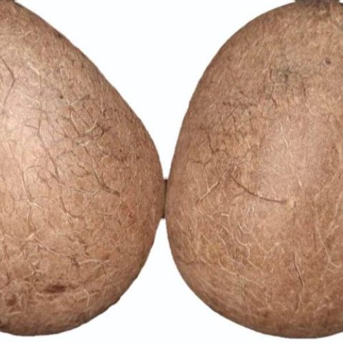 Organic Whole Coconut Copra