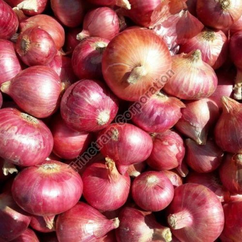 Nashik Red Onion