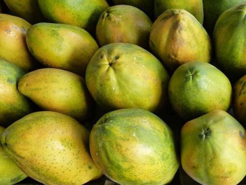 Fresh Papaya