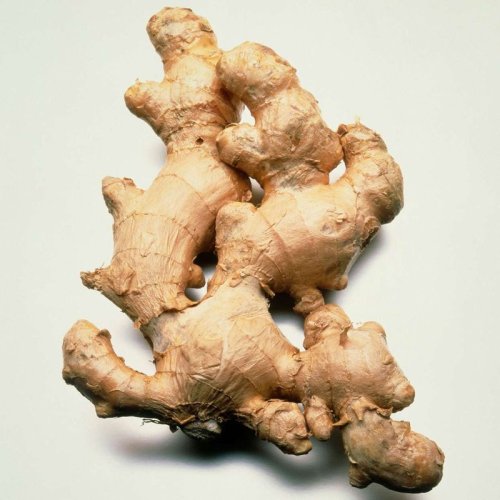 Fresh Ginger