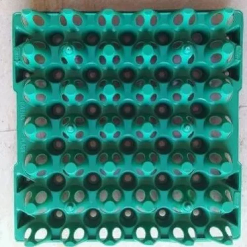 Plastic Egg Trays