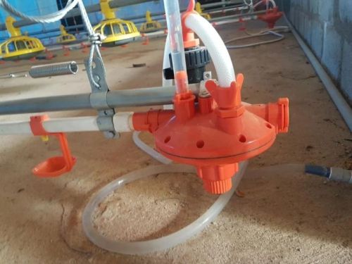 Poultry Drinking System