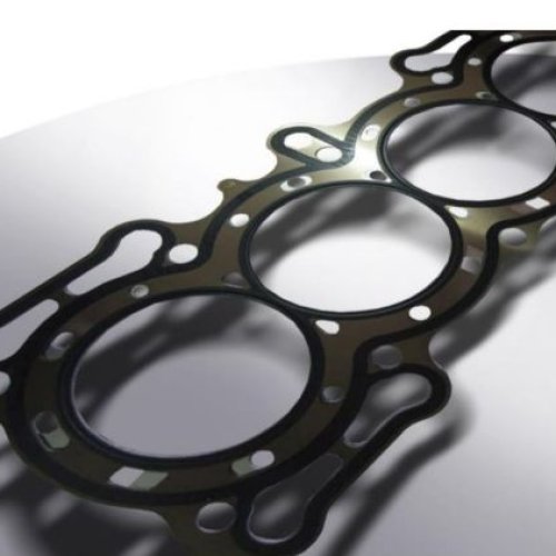Lubricant Molybdenum Bonded Coating on Gaskets
