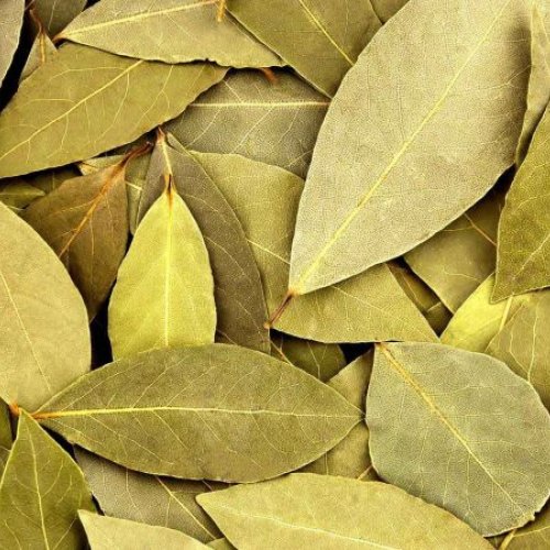 Bay Leaf
