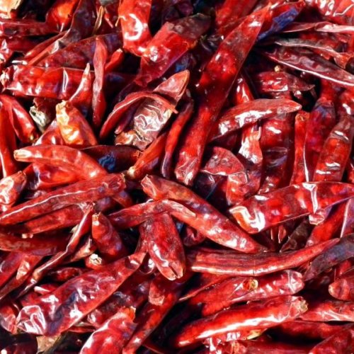 Dry Red Chilli