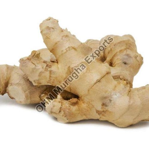 Fresh Ginger