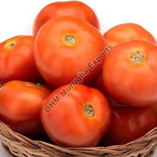 Fresh Tomato