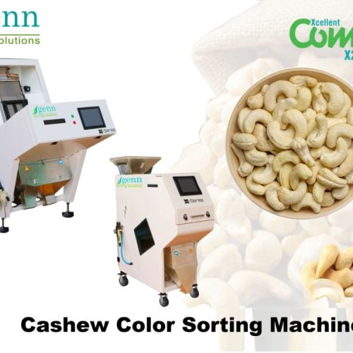 Cashew Color Sorting Machine