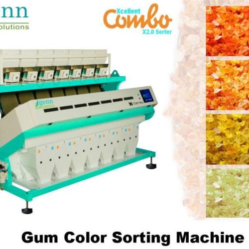 Gum Sorting Machine