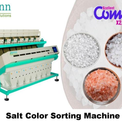 Salt Color Sorter Machine