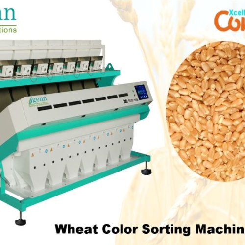Wheat Grain Color Sorter Machine