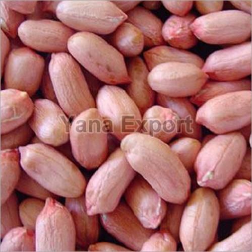 Bold Peanut Seeds