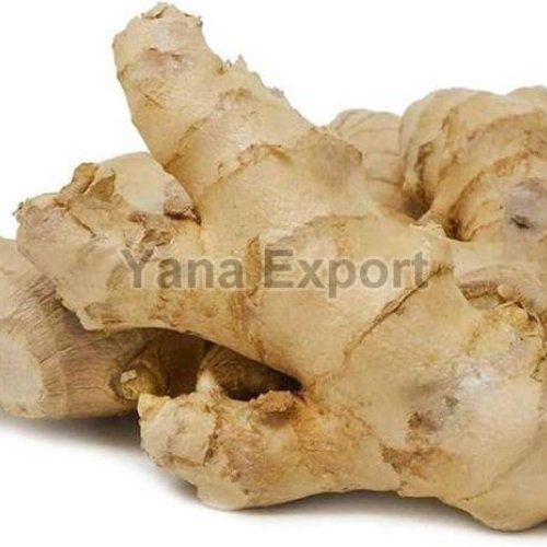 Fresh Ginger