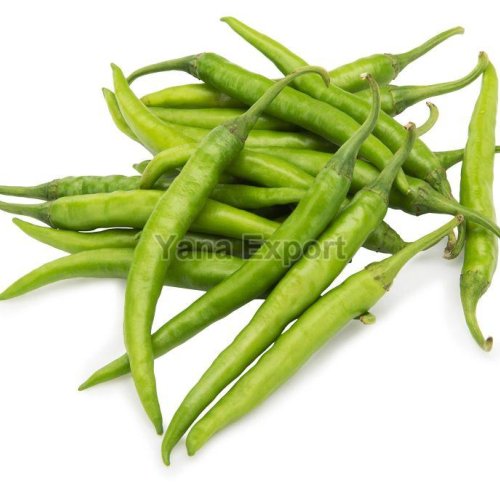 Fresh Green Chilli