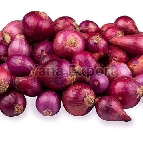 Fresh Vegetables