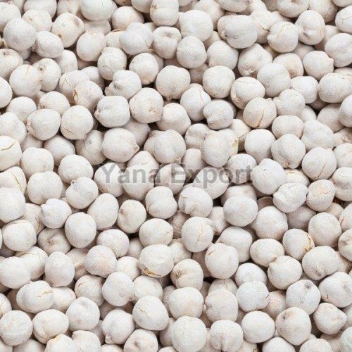 White Chickpeas