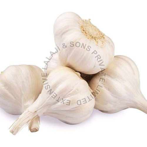 Fresh Garlic