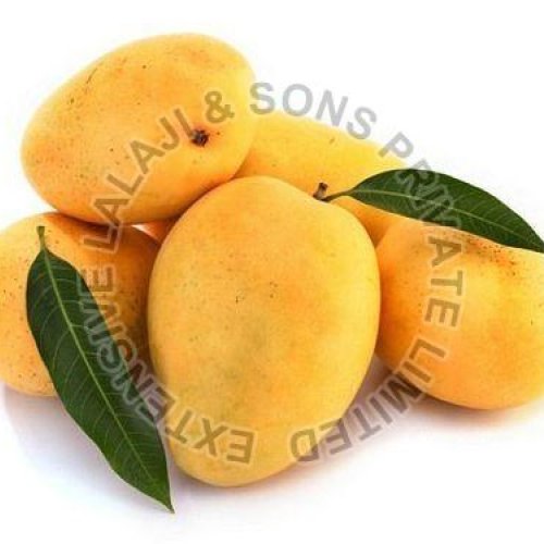 Fresh Mango