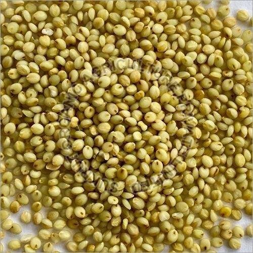 Browntop Millet