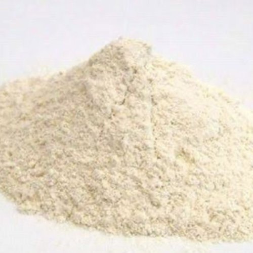 White Onion Powder