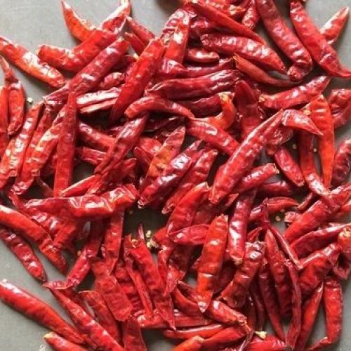 Dry Red Chilli
