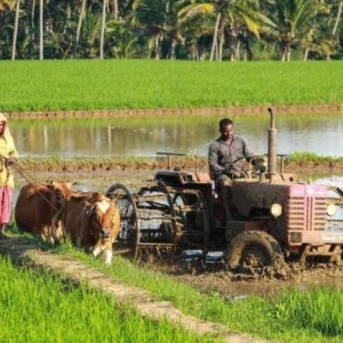 Agricultural Labour Service