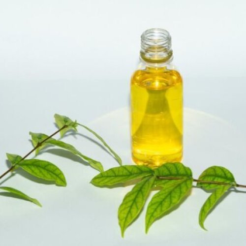 Curry Leaf Oil