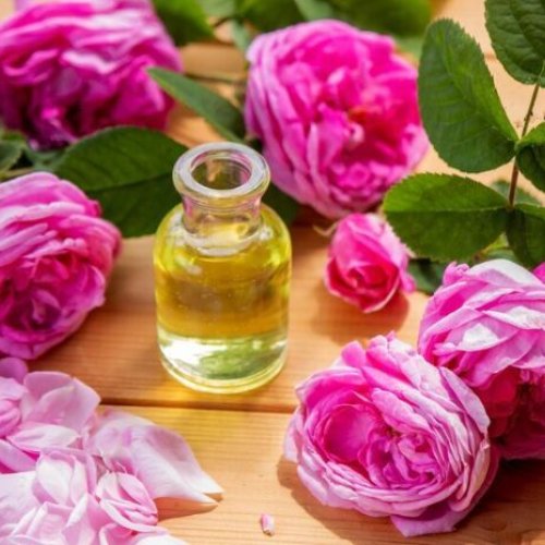 Damascus Rose Oil