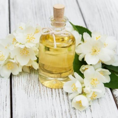 Gardenia Oil